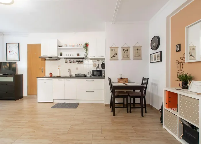 Studio Izola
